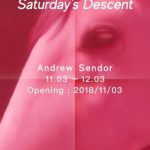ANDREW SENDOR - SATURDAY’S DESCENT (个展)