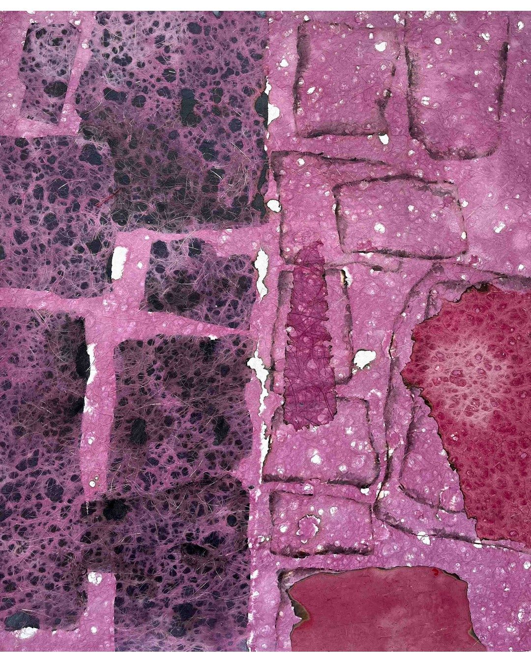 250c5db75073c66ed72f54ae3f71f551s1lor 250c5db75073c66ed72f54ae3f71f551s1lor