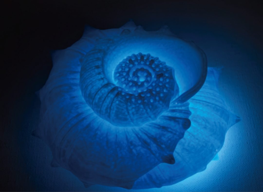 20251101hb6vt_ 20251101hb6vt_